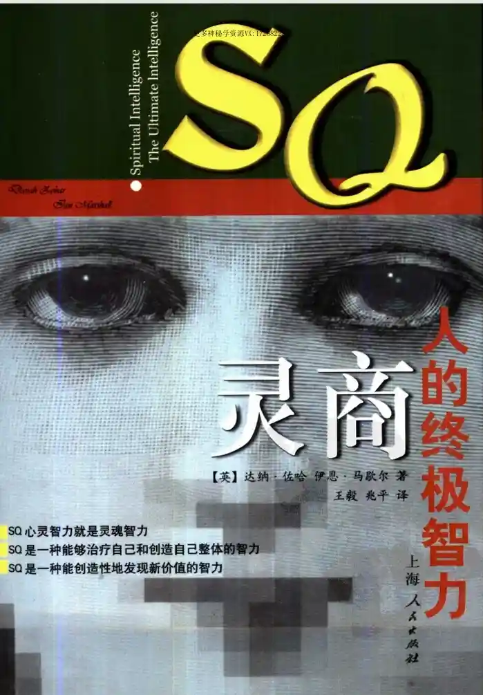 灵商-人的终极智力~pdf下载