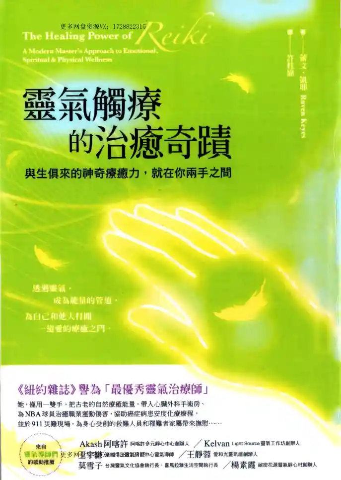 灵气触疗的治愈奇迹~pdf下载