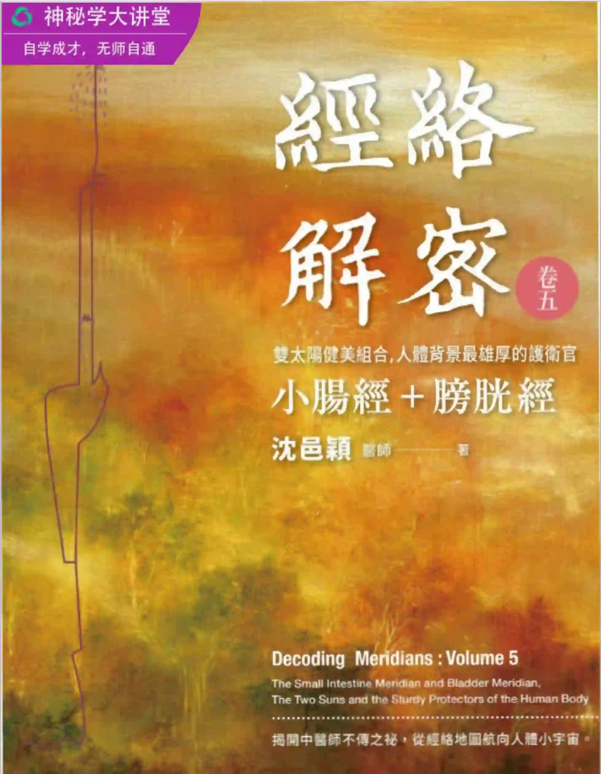 沈邑颖【经络解密卷5：小肠经+膀胱经】~pdf下载