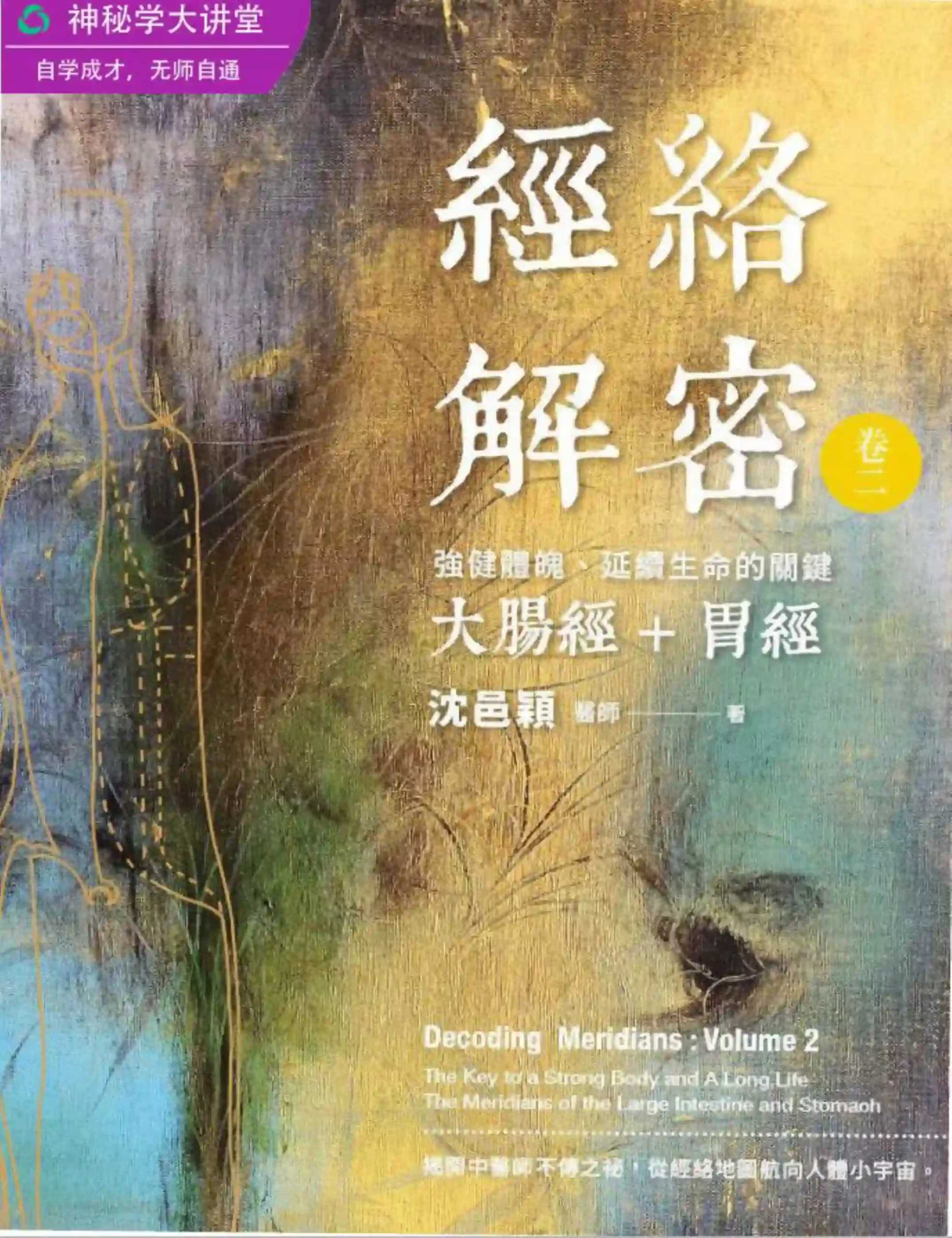 沈邑颖【经络解密卷2：大肠经+胃经】~pdf下载