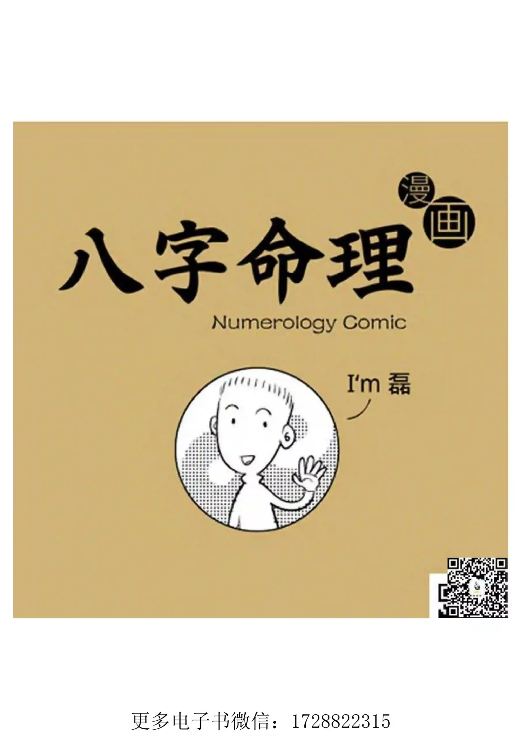 漫画版八字命理基础+提高~pdf下载