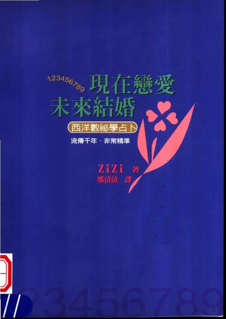 ZiZi【现在恋爱，未来结婚：西洋数秘学占卜】~PDF下载
