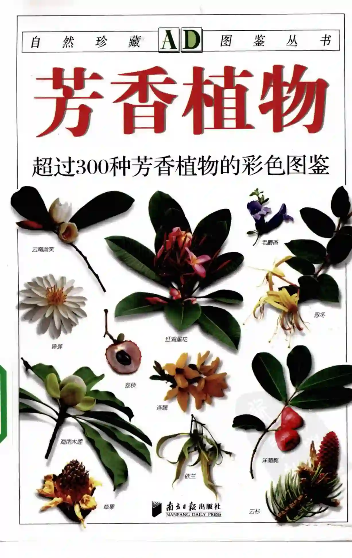 朱亮锋【芳香植物：超过300种芳香植物的彩色图鉴】~PDF下载