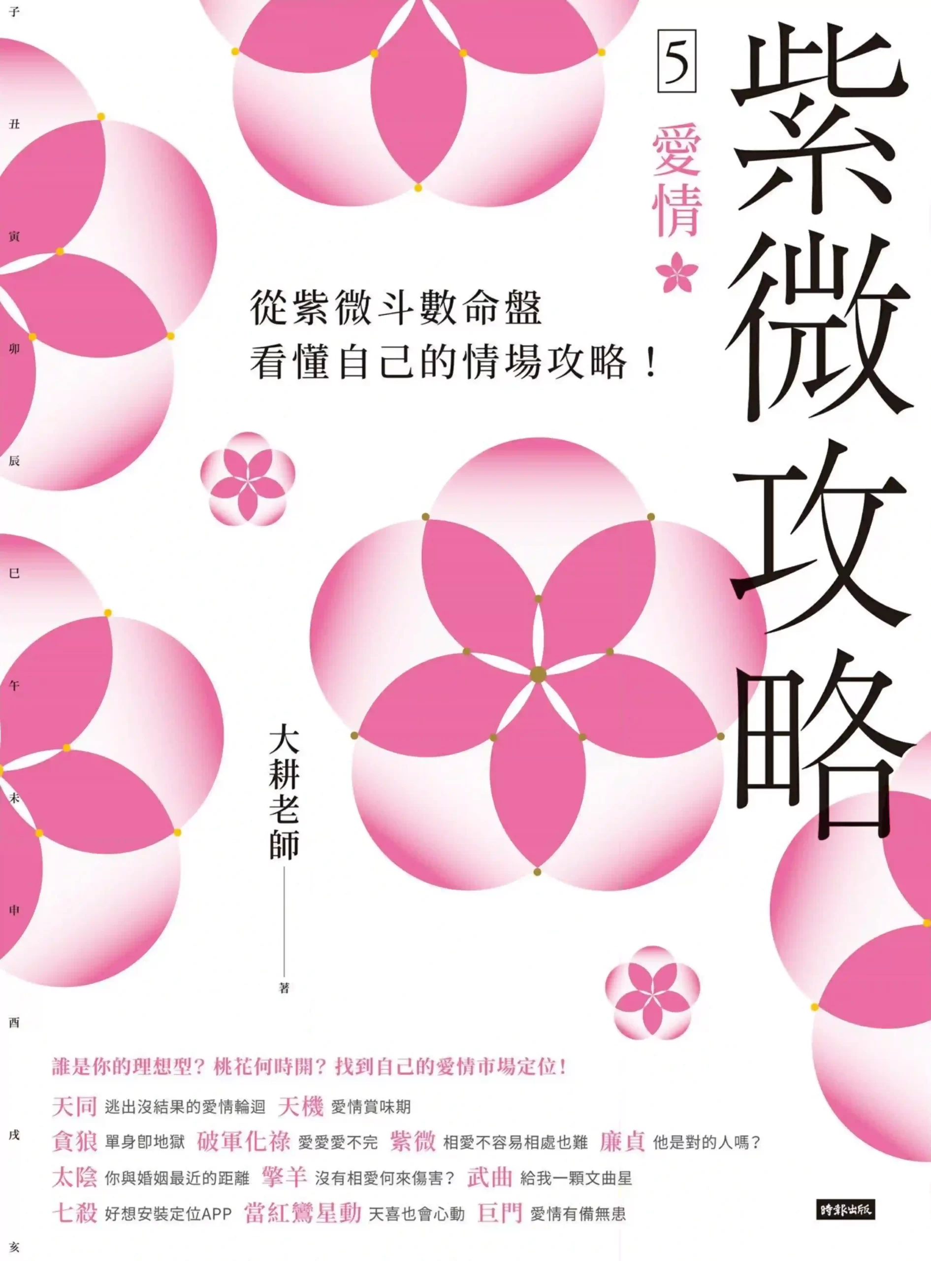 大耕老师【紫微攻略5愛情】~pdf下载