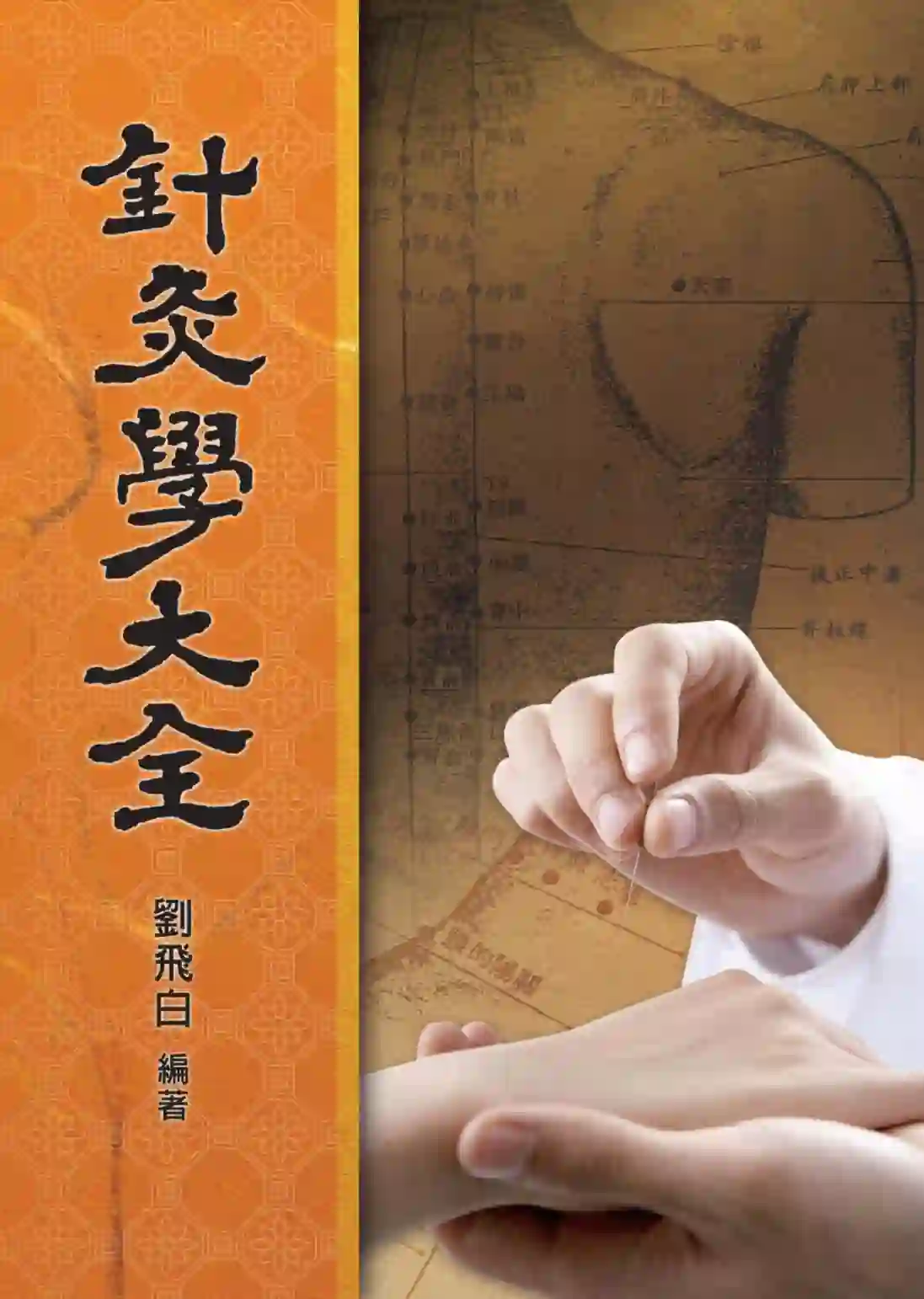 刘飞白【针灸学大全】~PDF下载