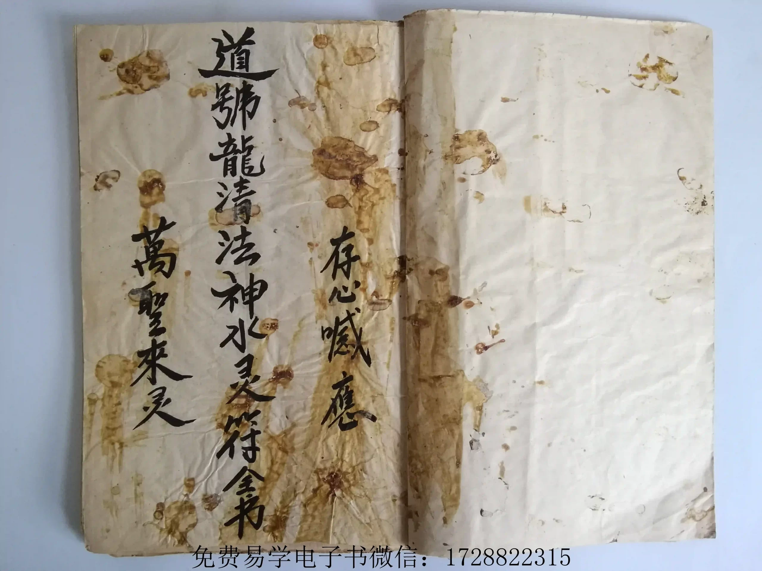 道号龍清法神水灵符~pdf下载