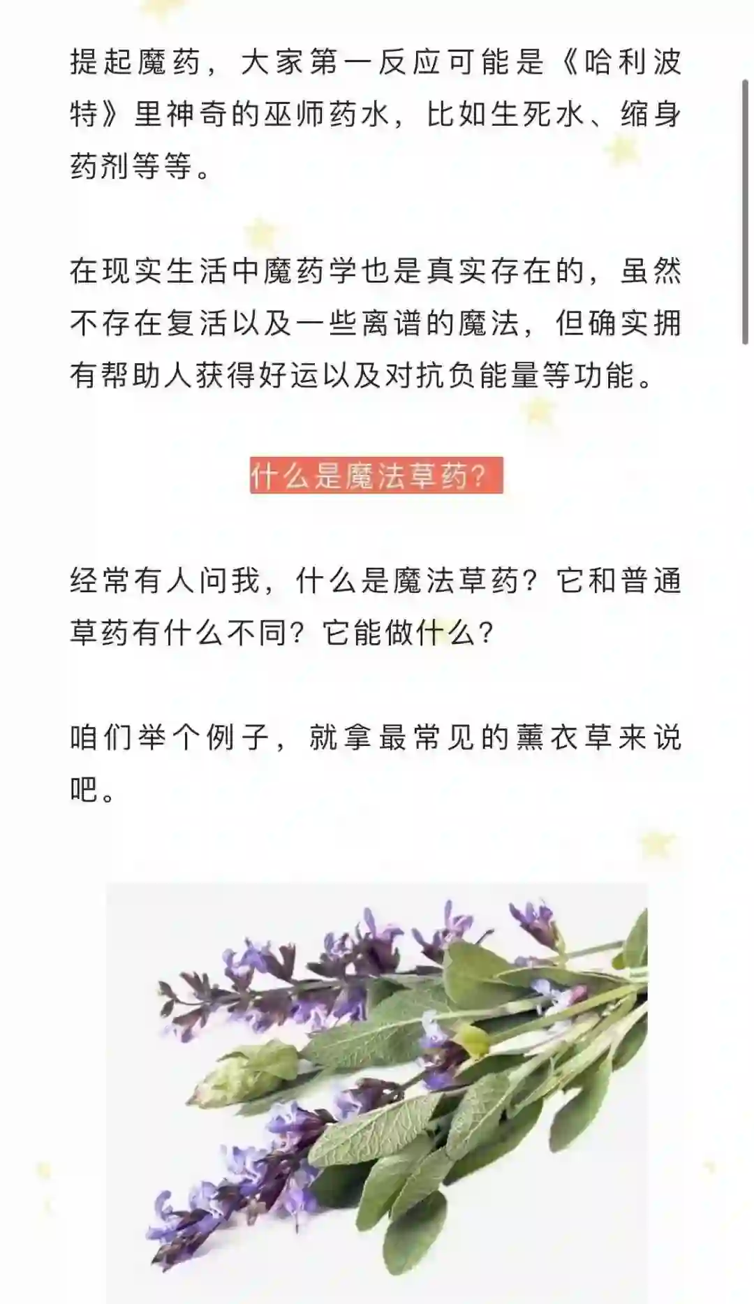 猫巫先生草药魔法~网盘下载