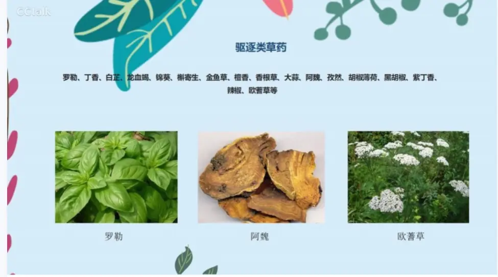 长乐女巫之锤草药~网盘下载