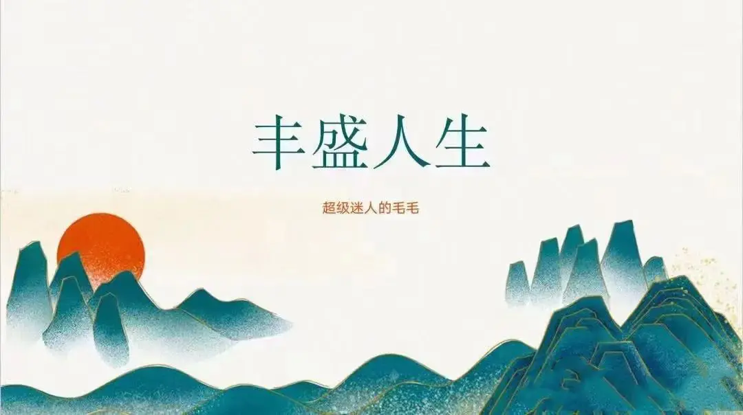 迷人的毛毛 丰盛人生~网盘下载