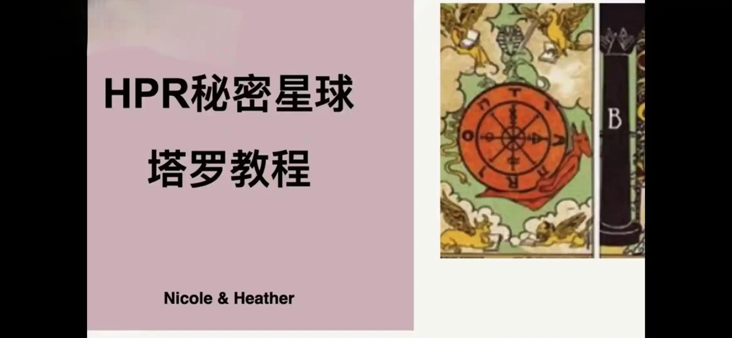 nico塔罗零基础入门-新世纪直觉式详解~网盘下载