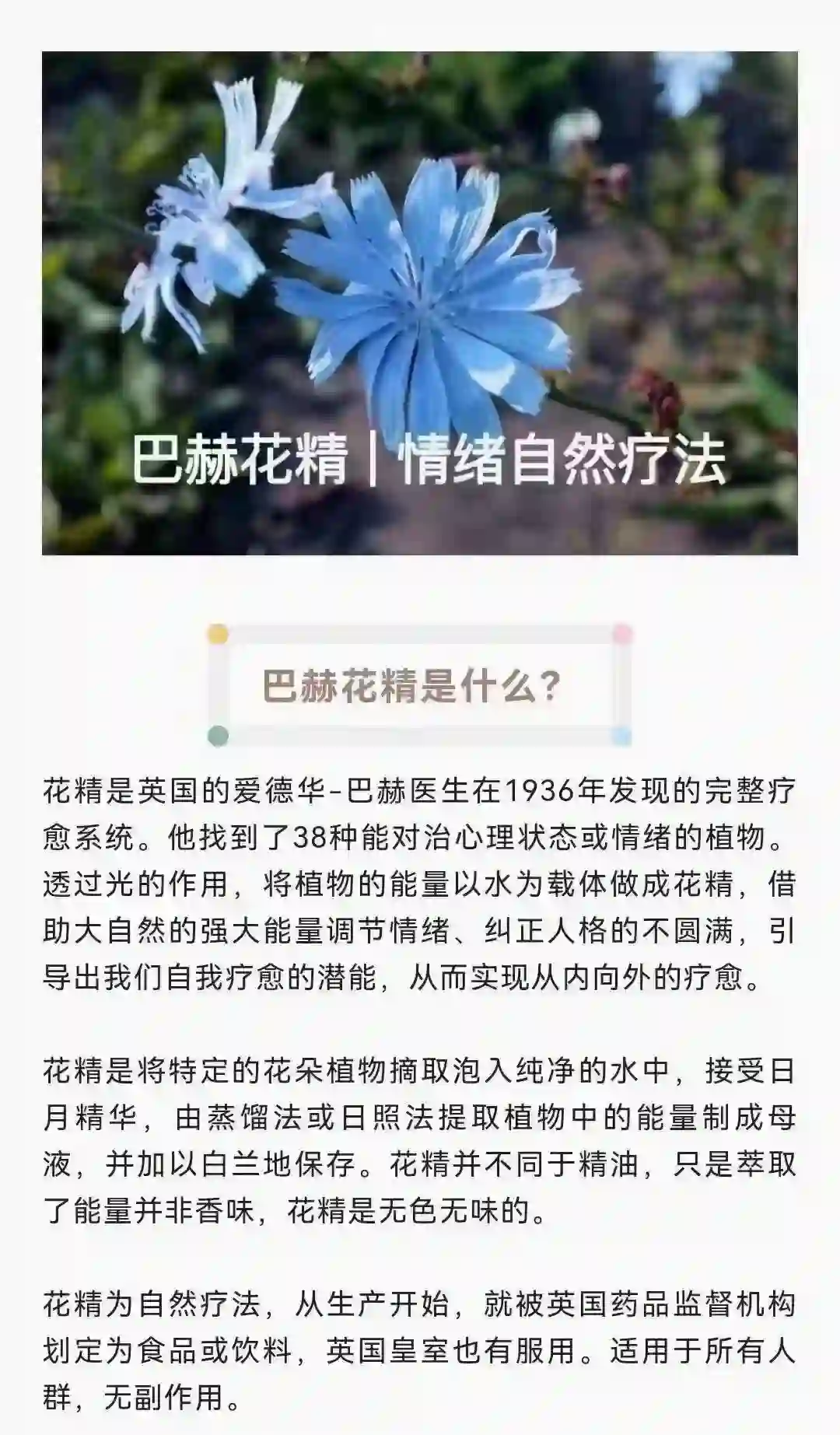 巴赫花精疗愈课程~网盘下载