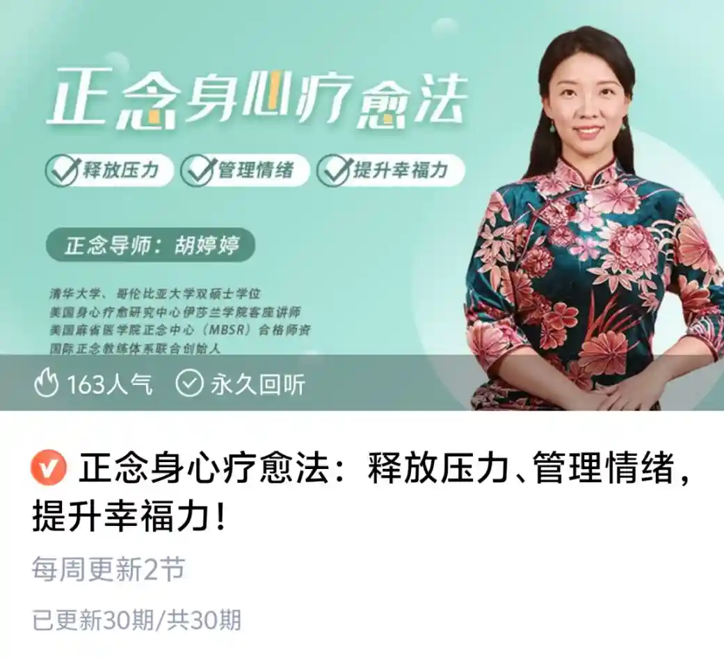 正念身心疗愈法：释放压力、管理情绪，提升幸福力~网盘下载