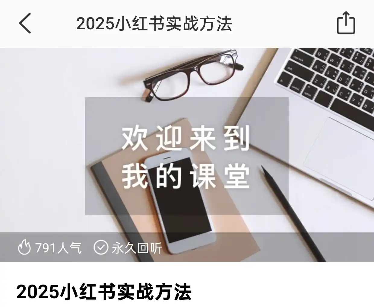 2025小红书实战方法 毅超~网盘下载