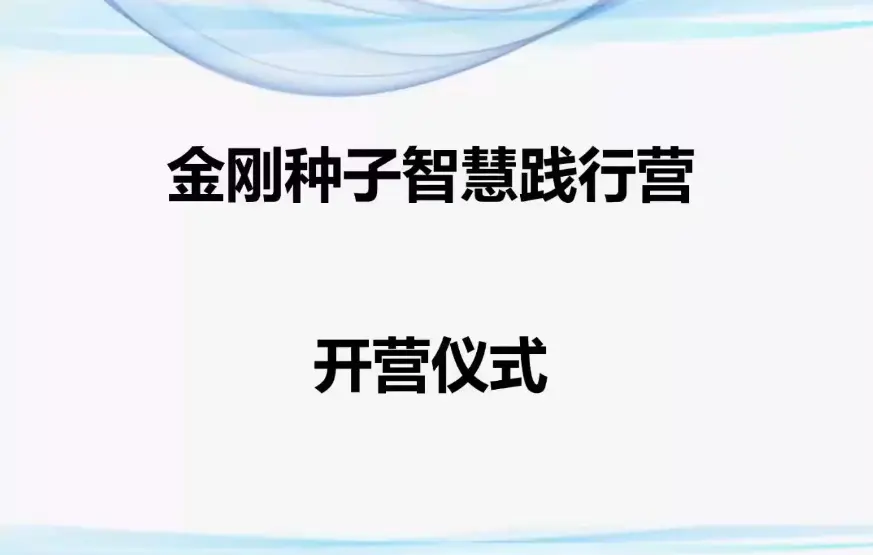 金刚种子智慧实践营~网盘下载