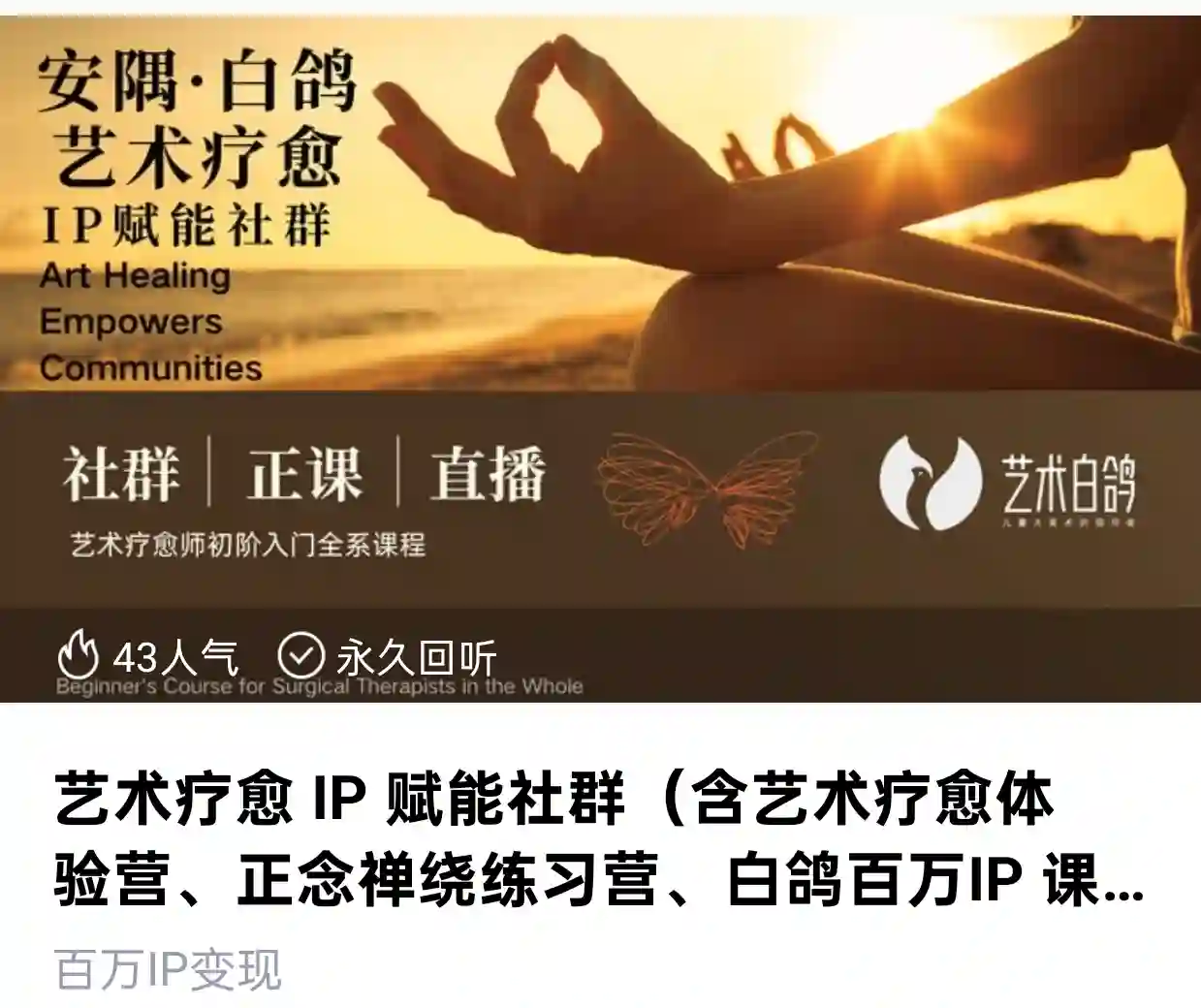 艺术疗愈IP赋能社群~网盘下载