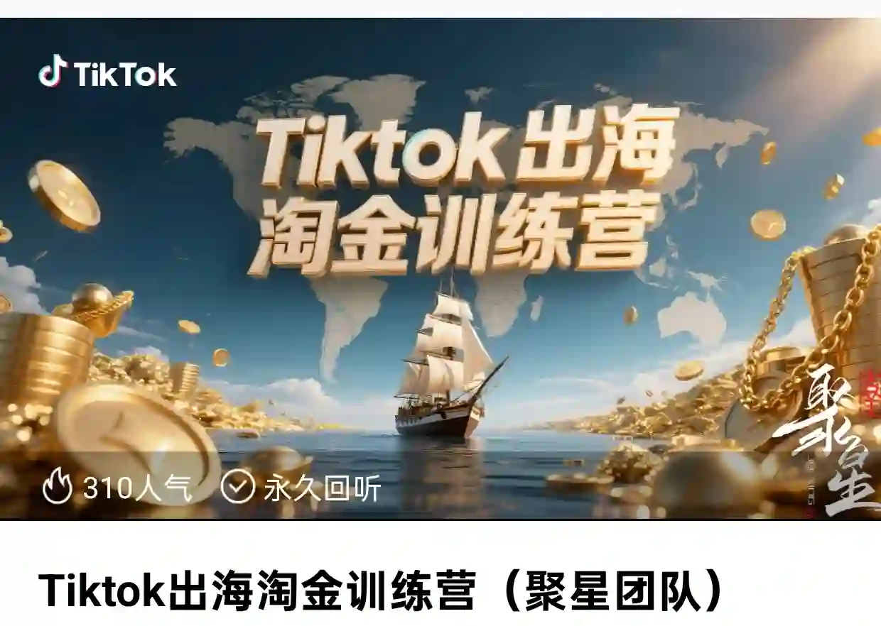 Tiktok出海淘金训练营~网盘下载