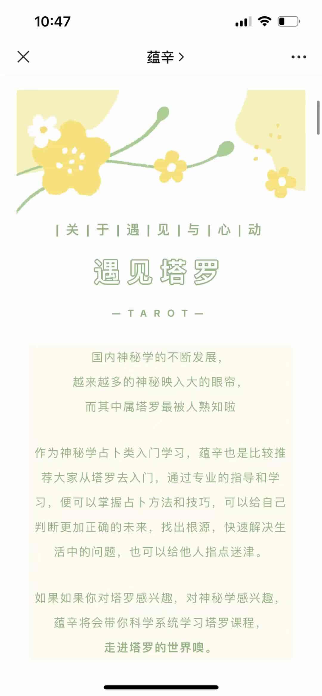 Giuliani蕴辛｜零基础塔罗教学