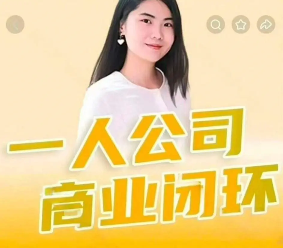 一人公司~网盘下载