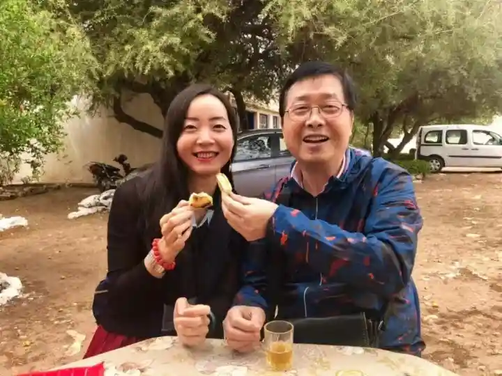 凤凰娴全集~网盘下载