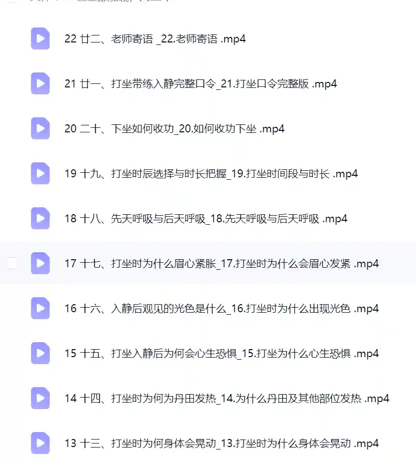 武当李资通 道家打坐 线上教学~网盘下载