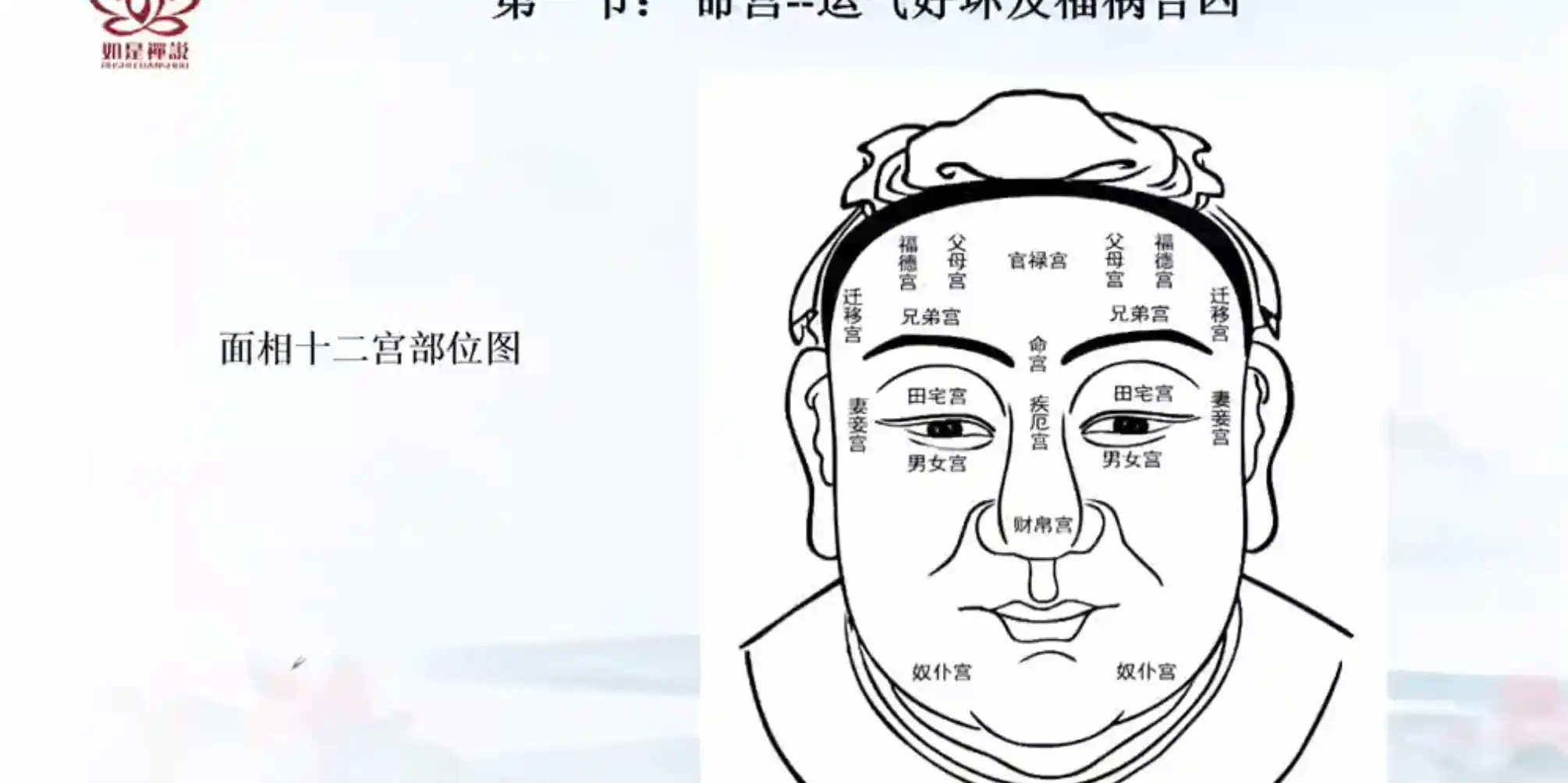 辰南老师麻衣相术~网盘下载