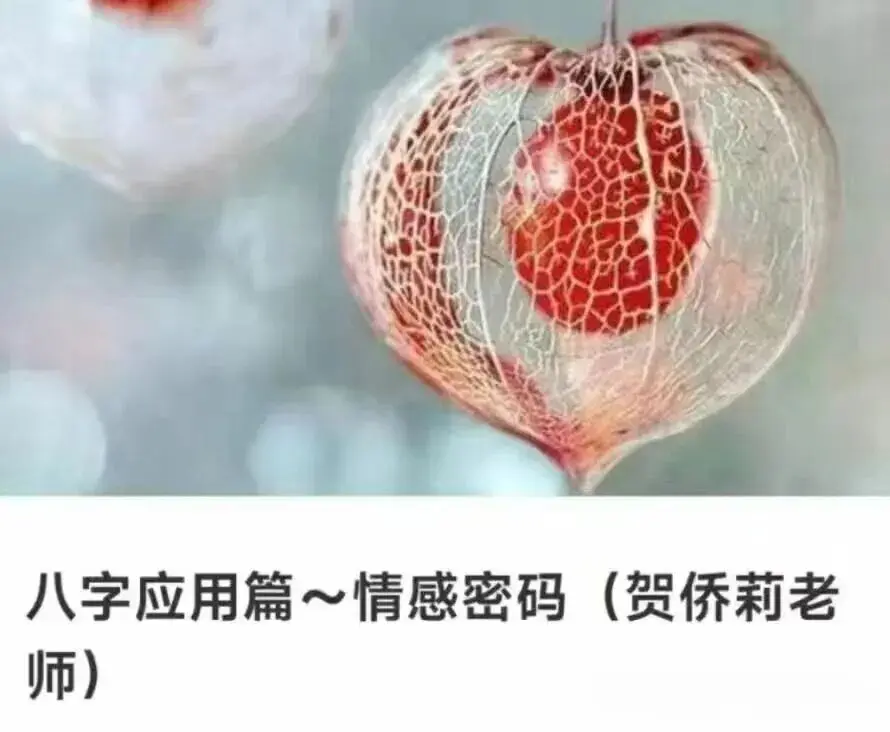 贺侨莉 八字应用篇 情感密码87集视频~网盘下载