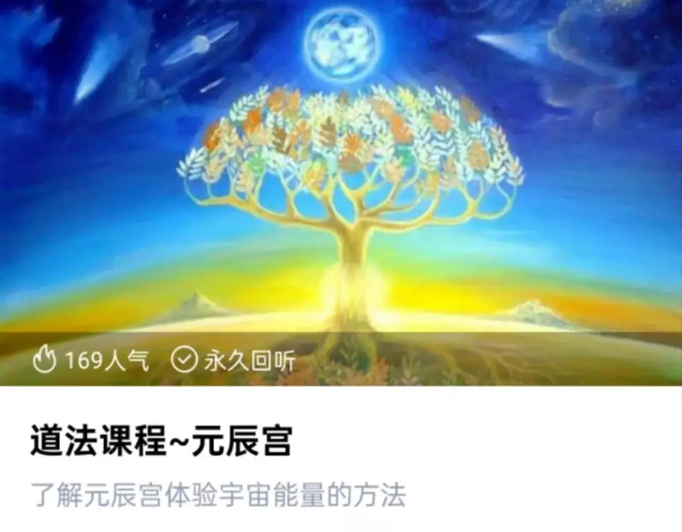蔡婉云元辰宫初级+中级~网盘下载