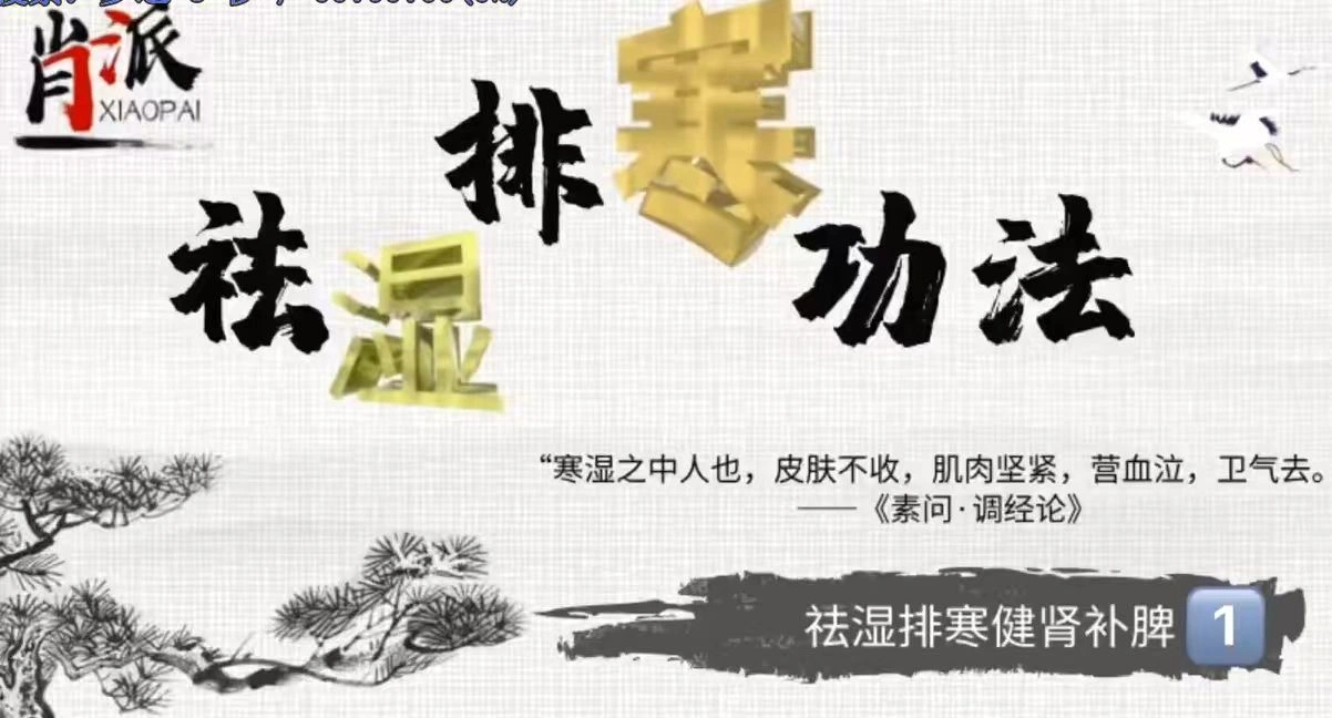 【排寒祛湿】肖派祛湿排寒功法 全4讲视中医频课 ~网盘分享
