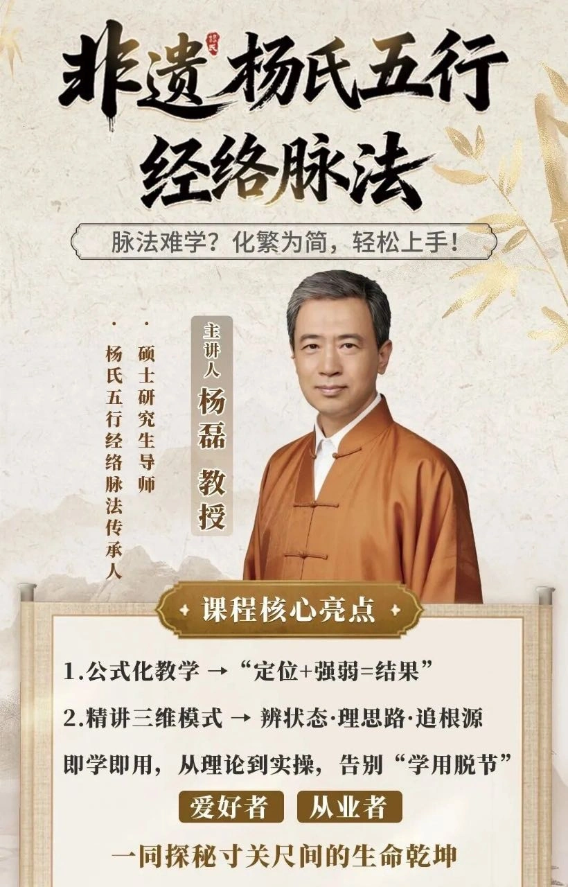 杨磊非遗杨氏五行经络脉法公式化教程~网盘下载