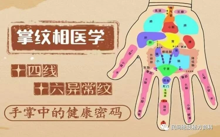 掌纹相医学系统课~网盘下载