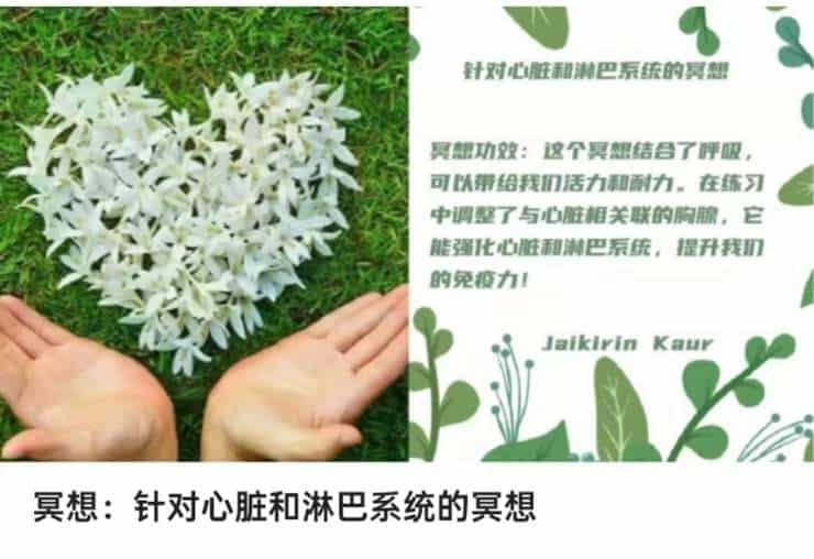 针对心脏和淋巴系统的冥想